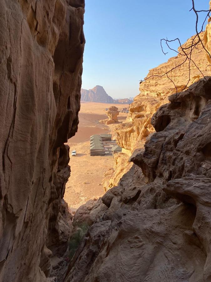 Desert Jewel Camp وادي رم المظهر الخارجي الصورة