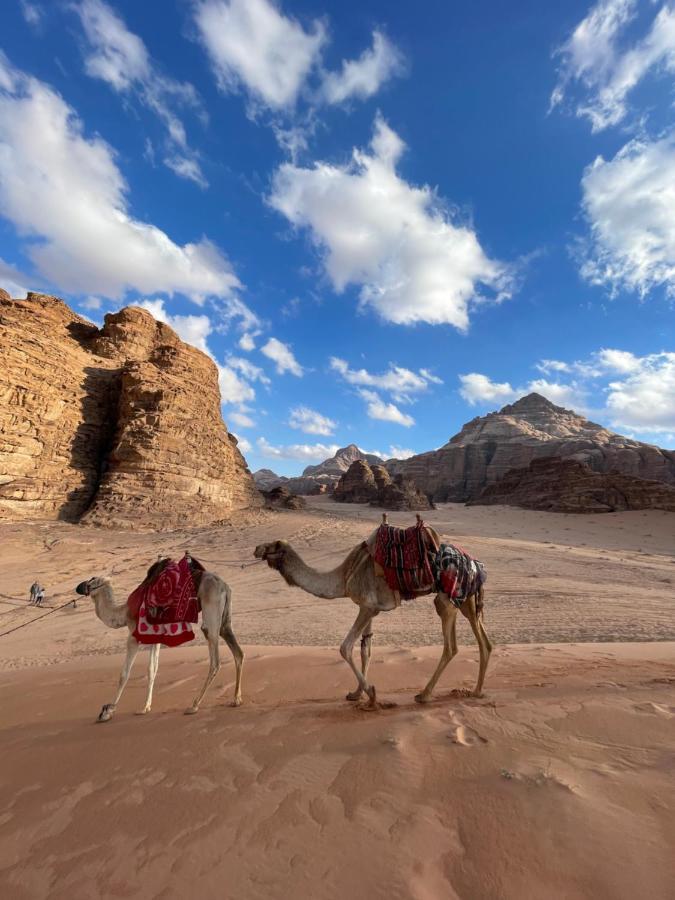 Desert Jewel Camp وادي رم المظهر الخارجي الصورة
